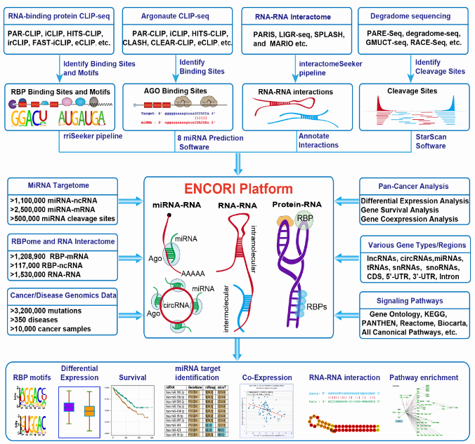 image-20230402101214897