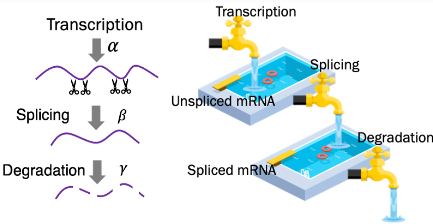 image-20230416161507521