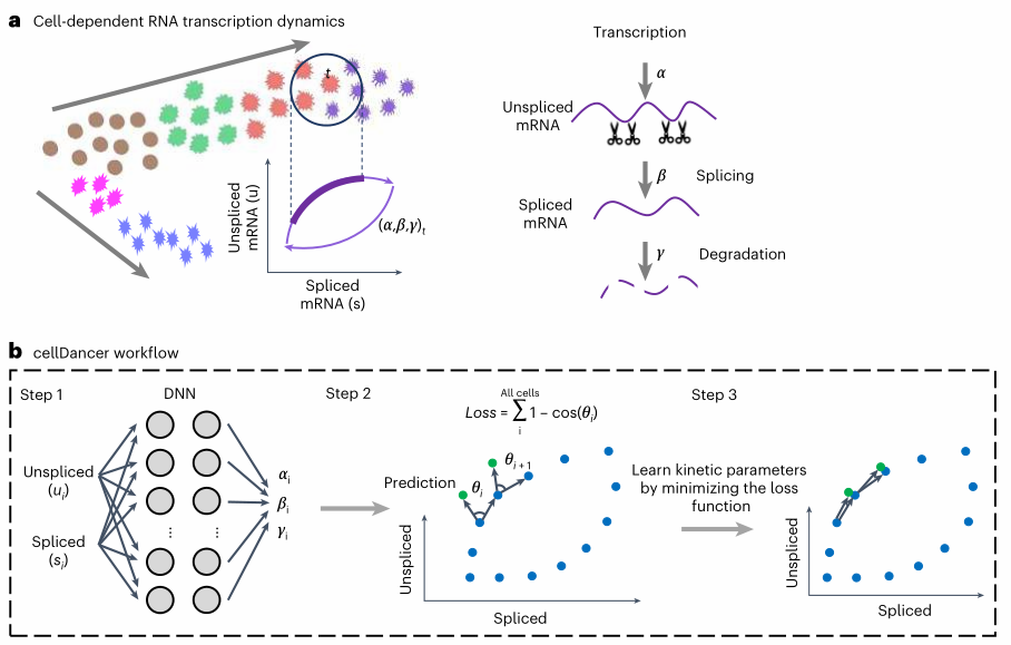 image-20230416161955730