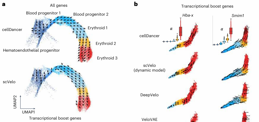 image-20230416163836443