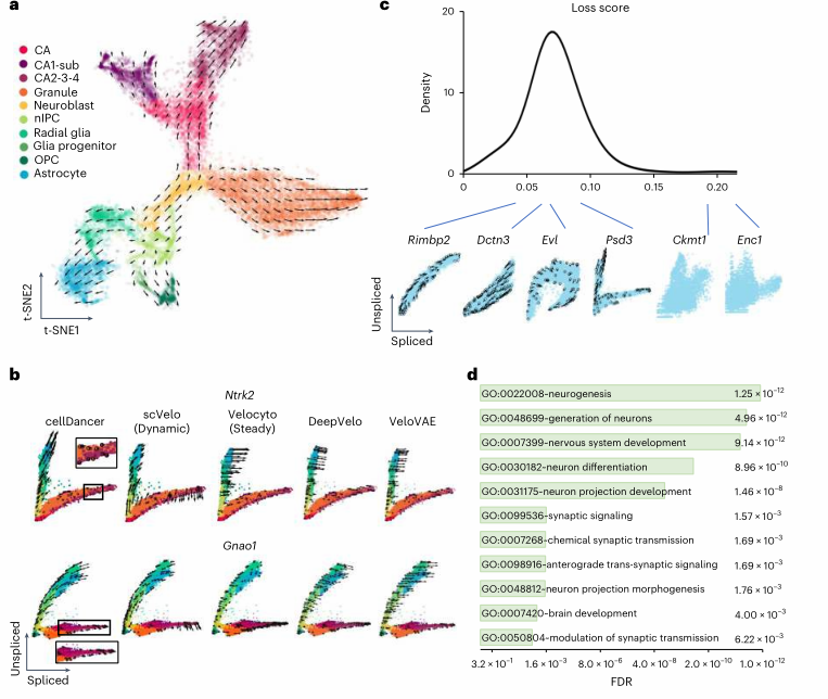 image-20230416165409878