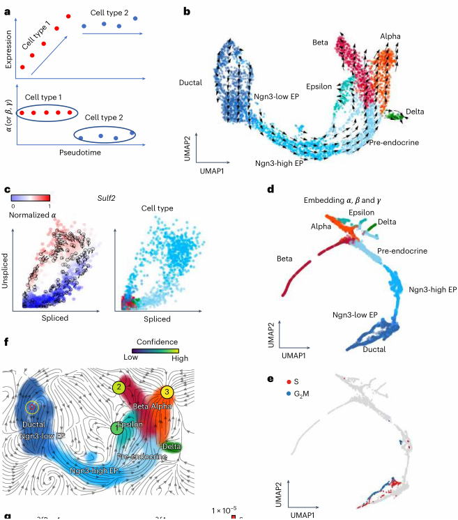 image-20230416170754154