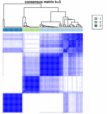 image-20230420204745316