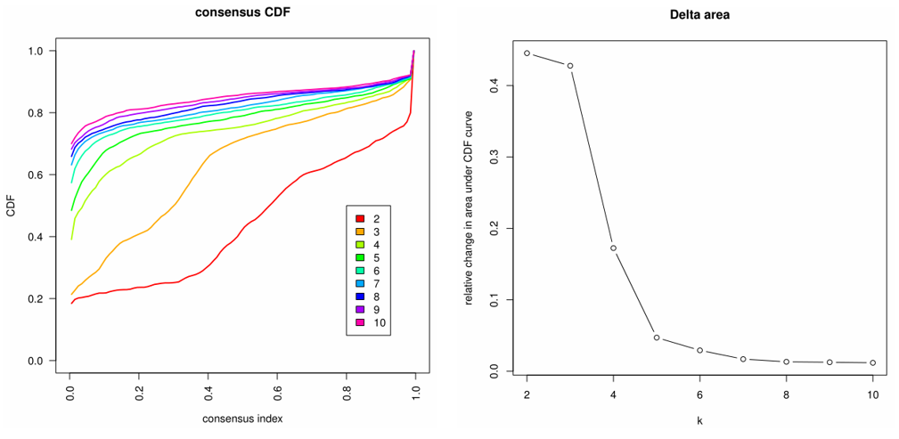 image-20230420205244452