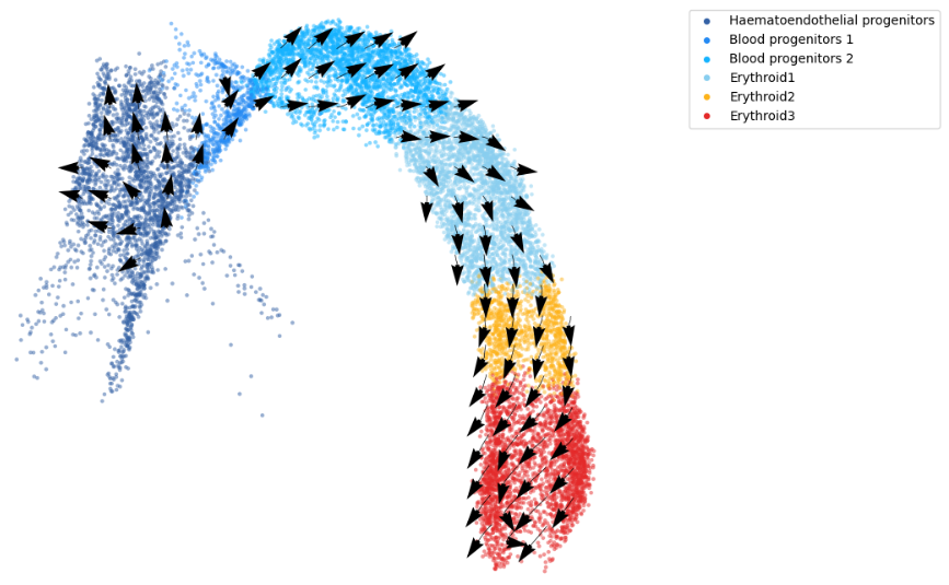 image-20230422145519636