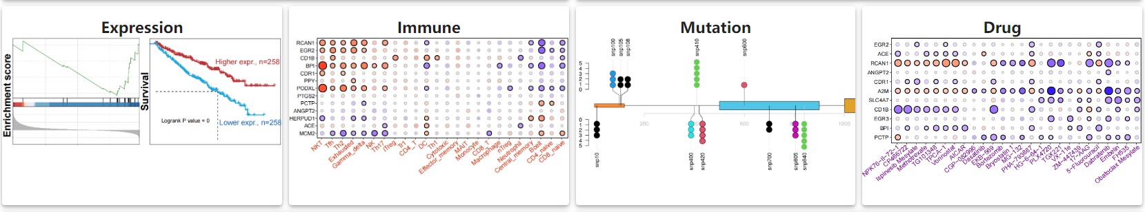 image-20230422193621644