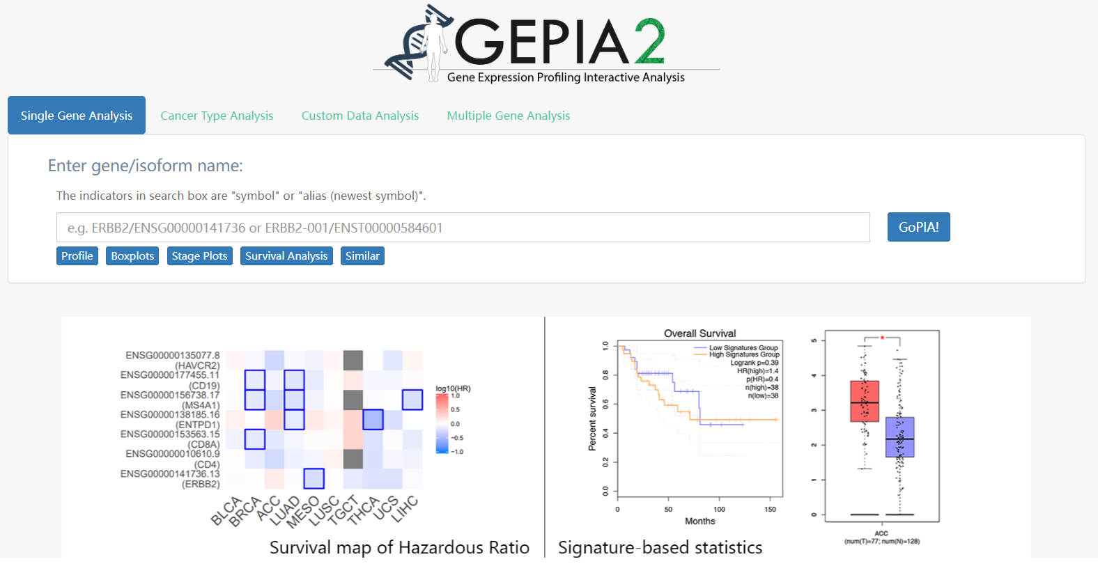 image-20230422202913199