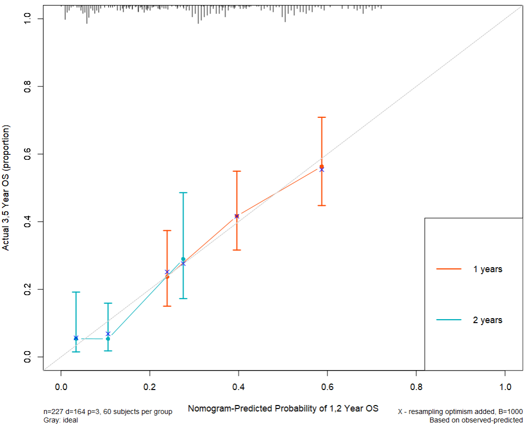 image-20230428130451931