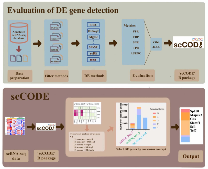 image-20230430141612651