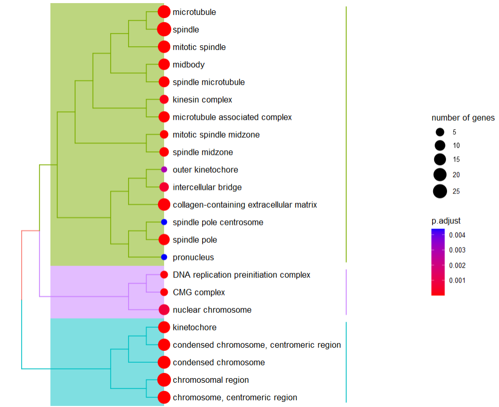 image-20230617155433789