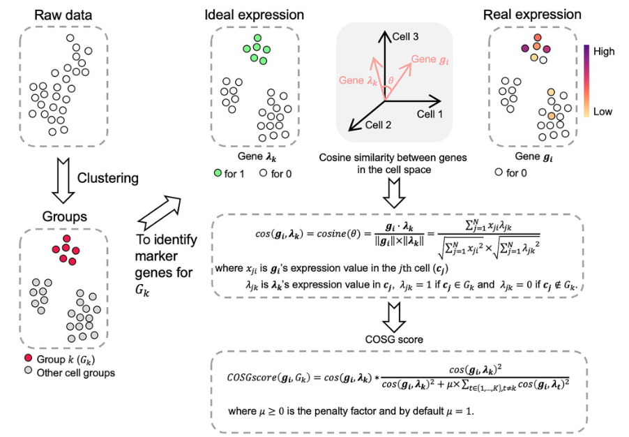 image-20230701094817968