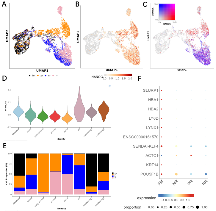 image-20230807084047875