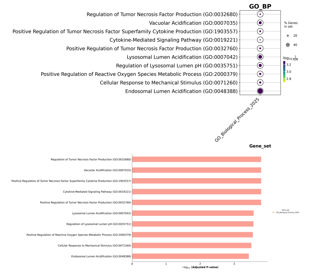 image-20250723083652809