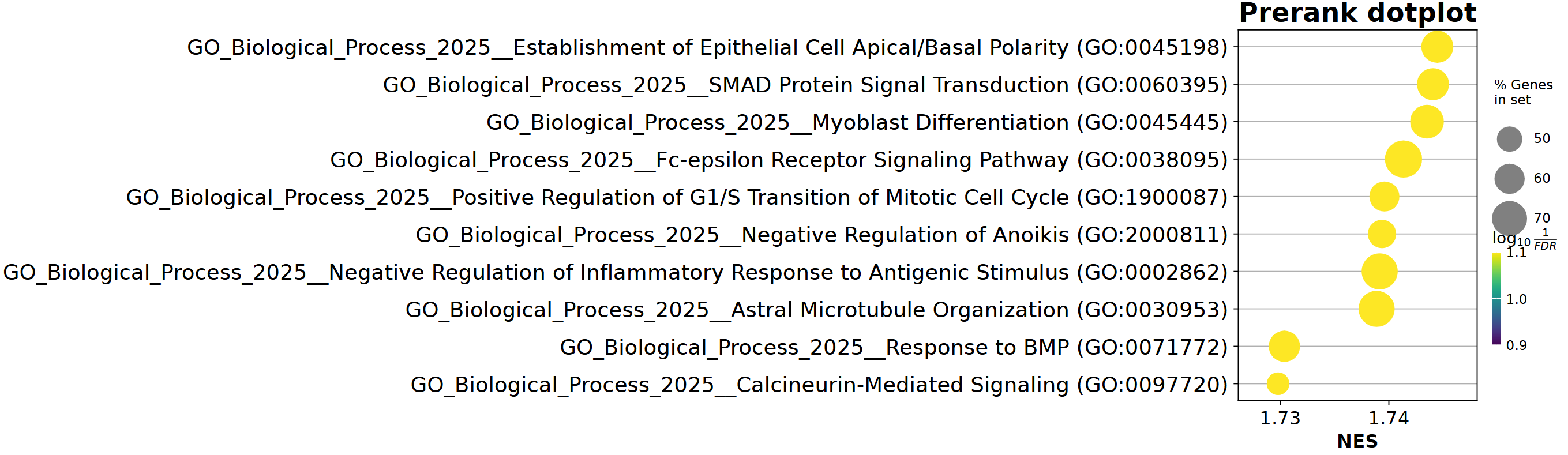 image-20250723085109849