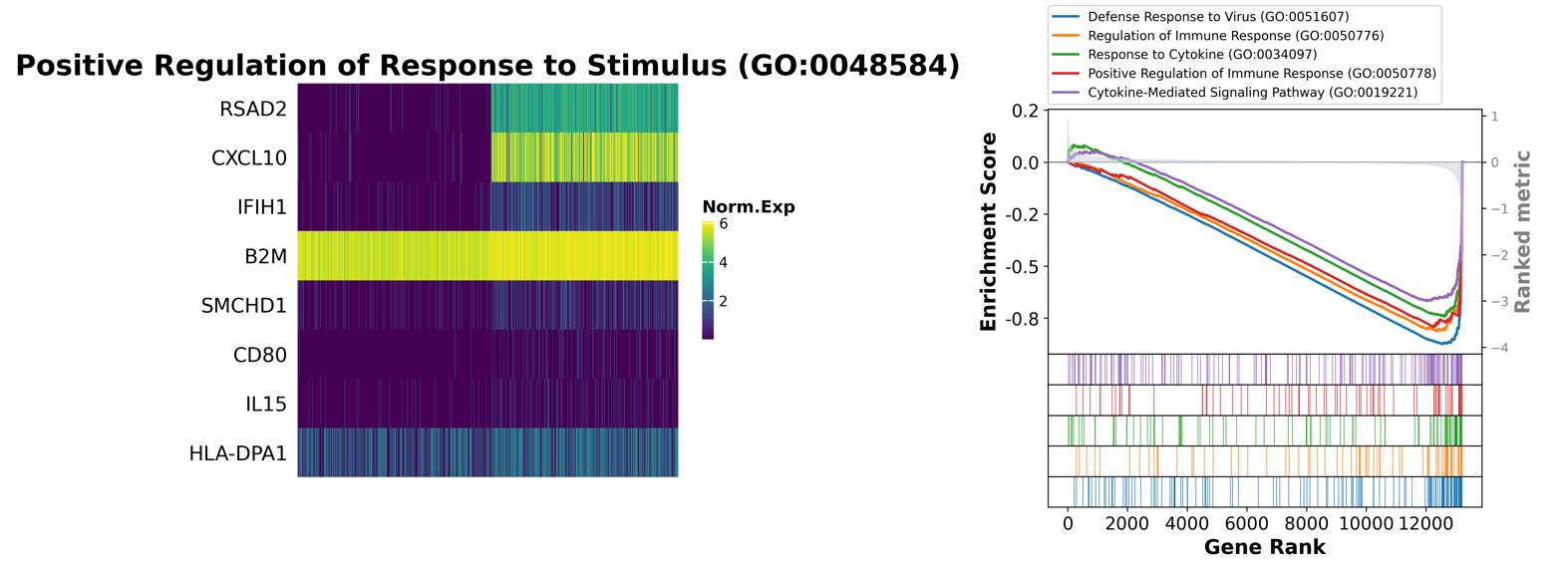 image-20250723085607612