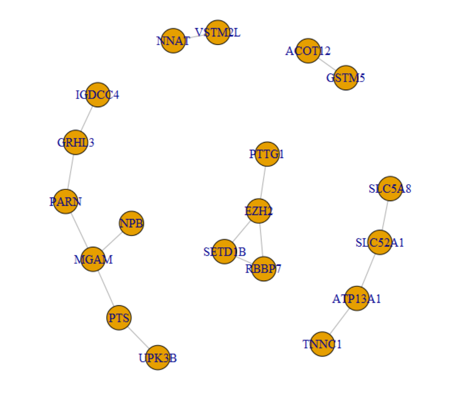 image-20220321171555239