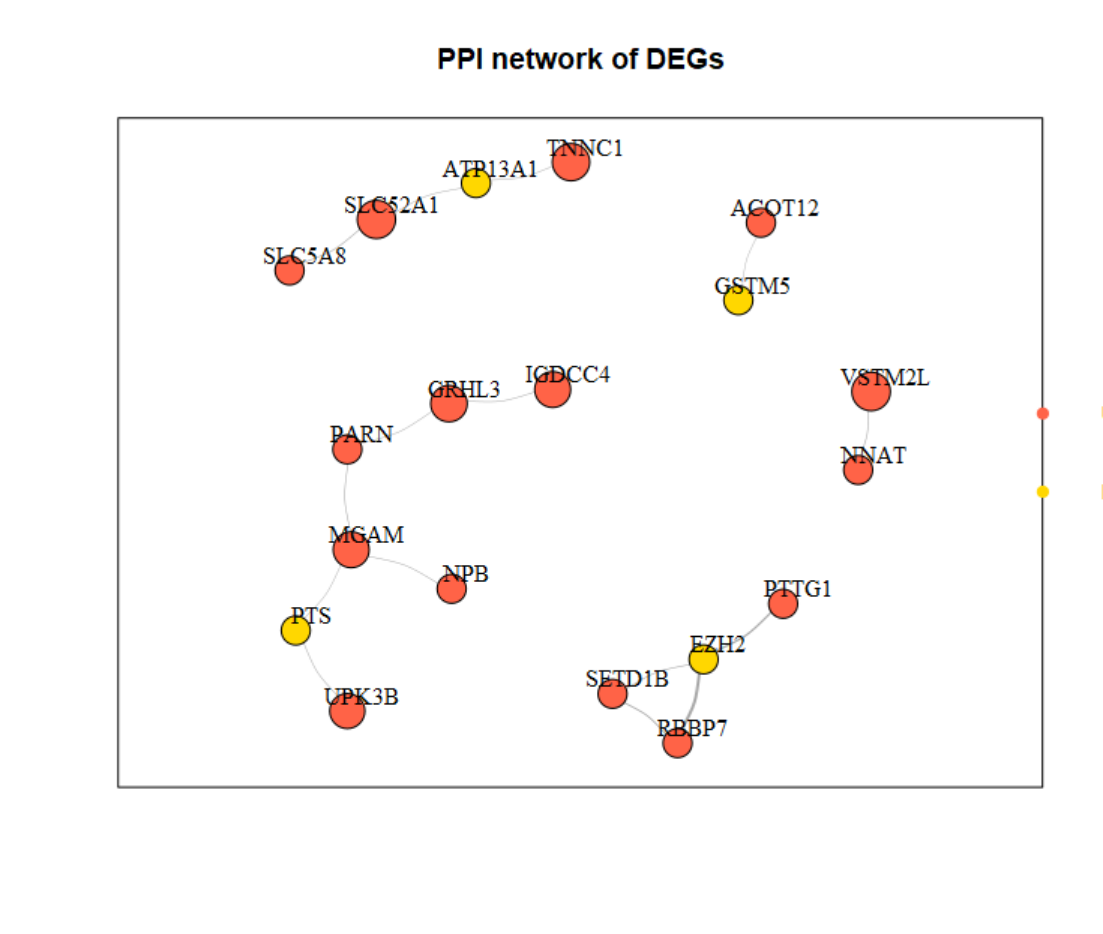 image-20220321172456621