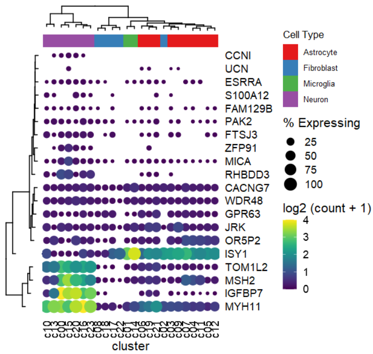 image-20230612203005294